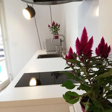 Apartment Nereo Design *
